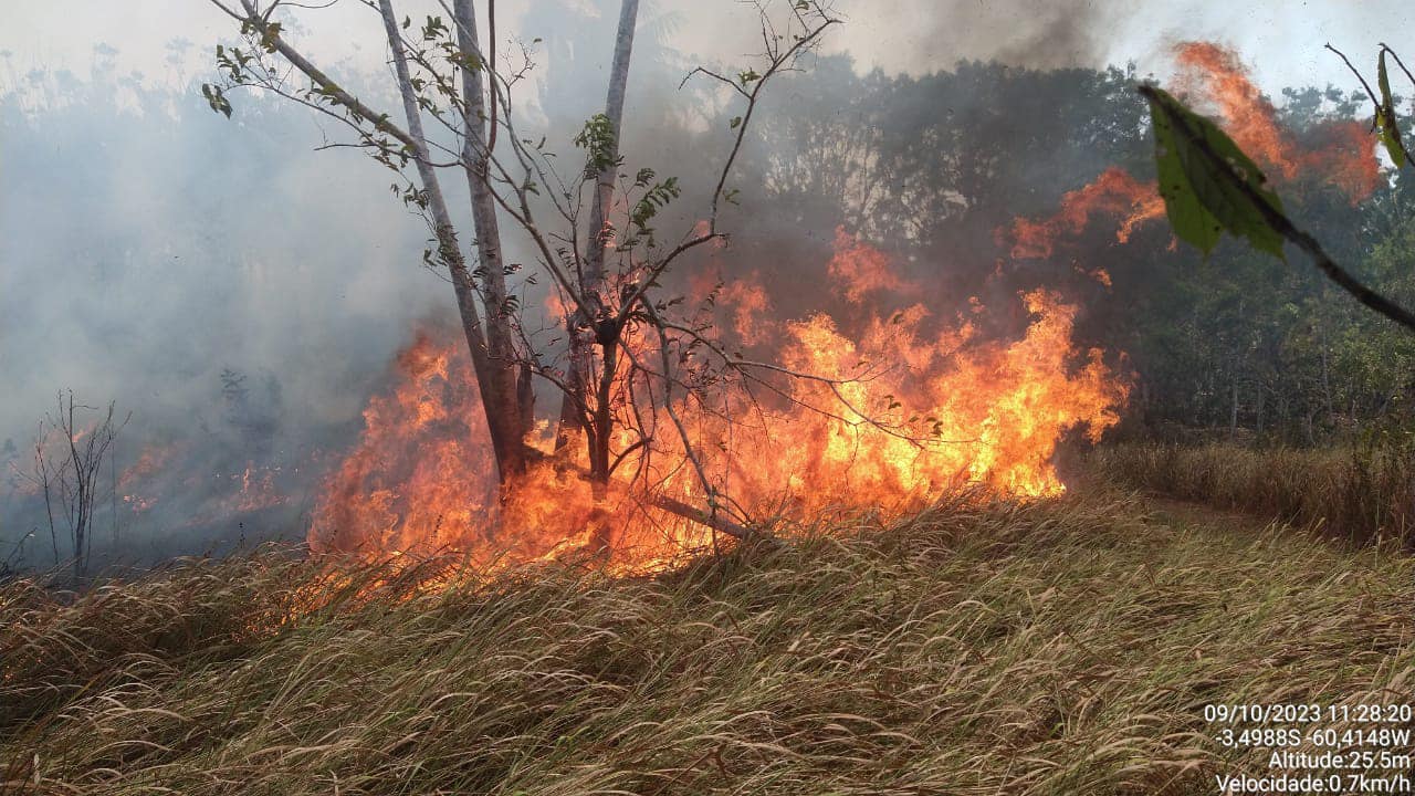 Ações no combate as queimadas são intensificadas em Manaquiri