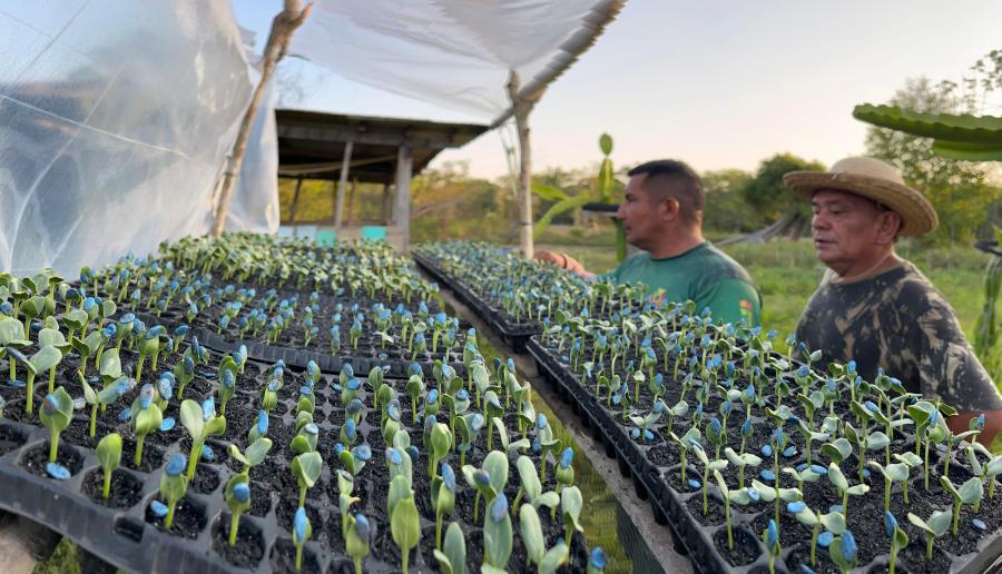 Prefeitura dá continuidade às atividades do Projeto Valorizar no Município de Manaquiri