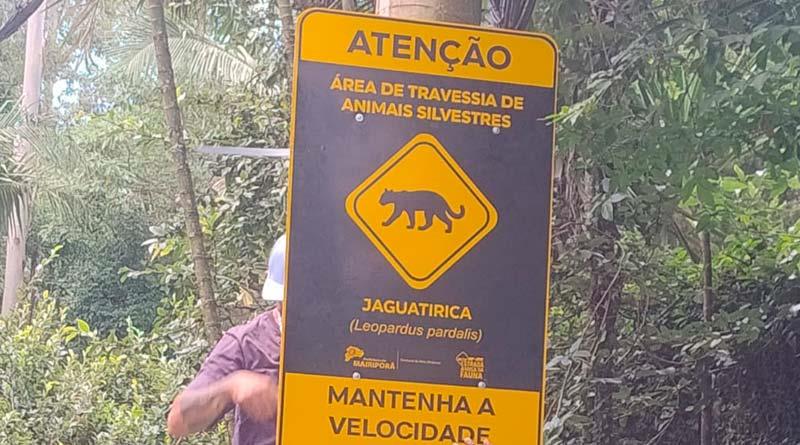 Projeto Estrada Amiga da Fauna avança com instalação de placas em áreas críticas de Mairiporã