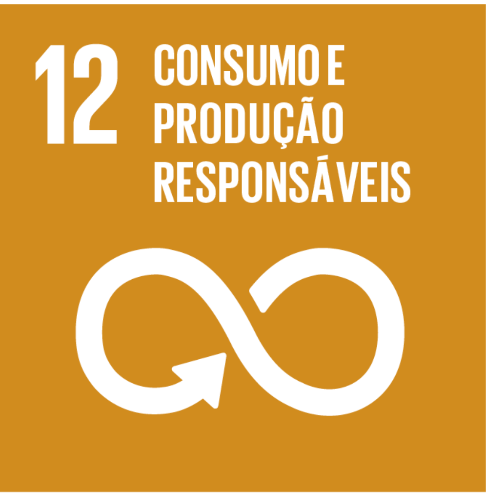 12 - Consumo e produção responsáveis