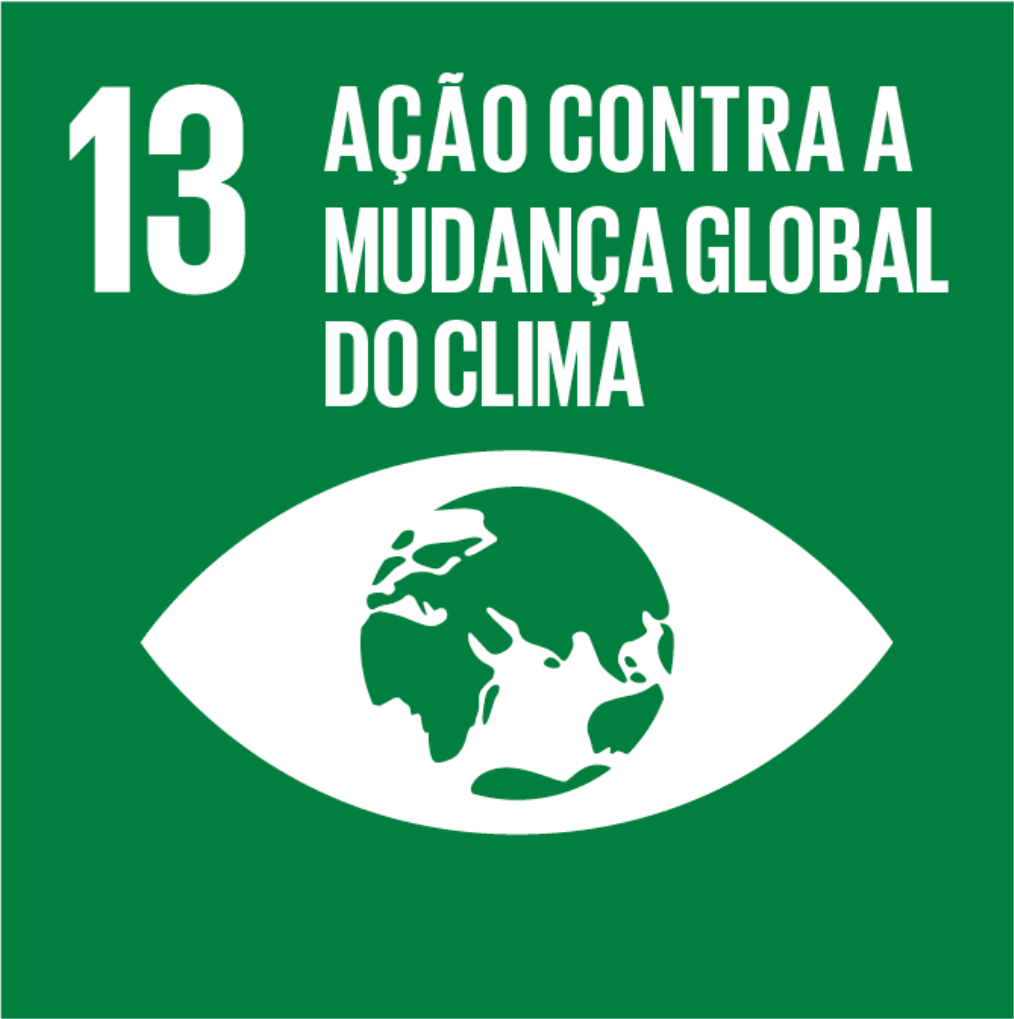 13 - Ação contra a mudança global do clima