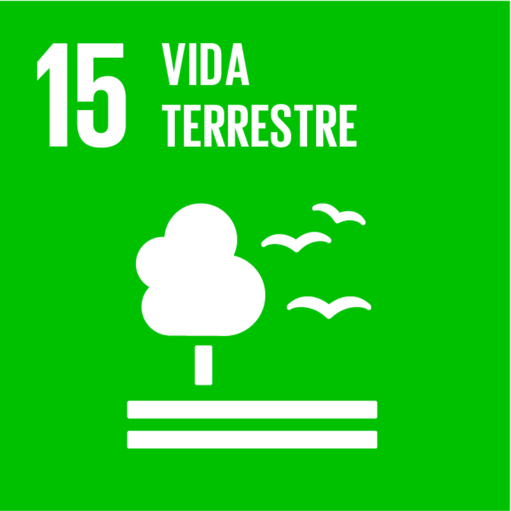 15 - Vida terrestre