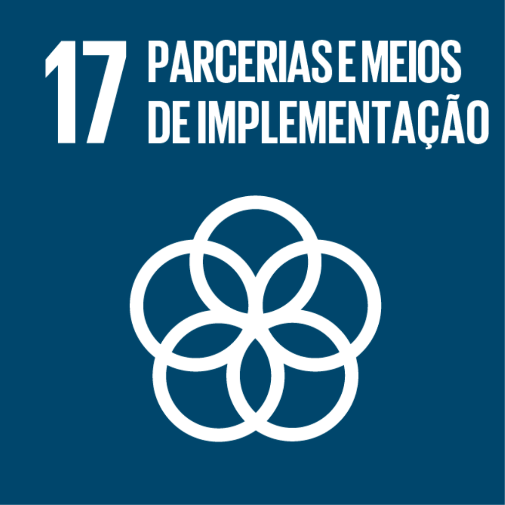 17 - Parcerias e meios de implementação
