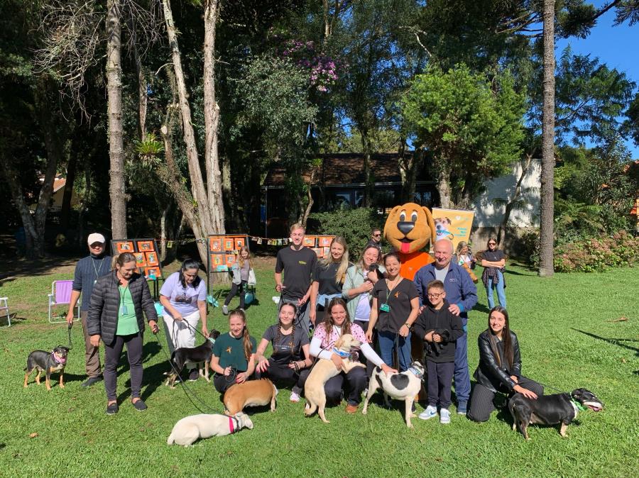 Feira de Adoção de cachorros movimentou o Lago Joaquina Rita Bier no sábado