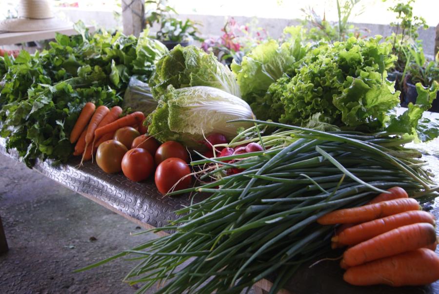 Feira do Produtor Rural