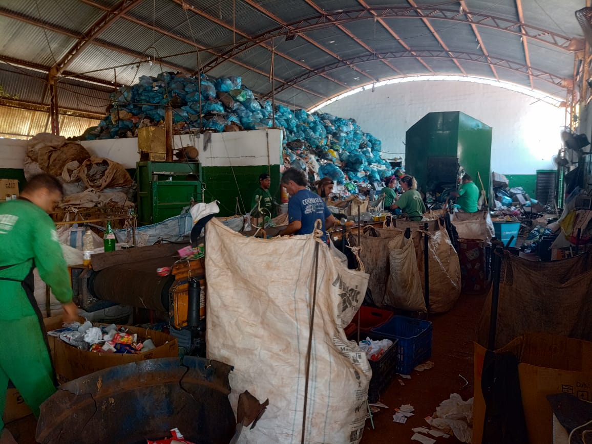 Coleta Seletiva: Cooperativa de Ilha Solteira faz coleta de materiais recicláveis no município !