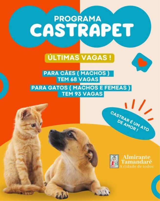 Prefeitura abre últimas vagas para castração gratuita de cães e gatos