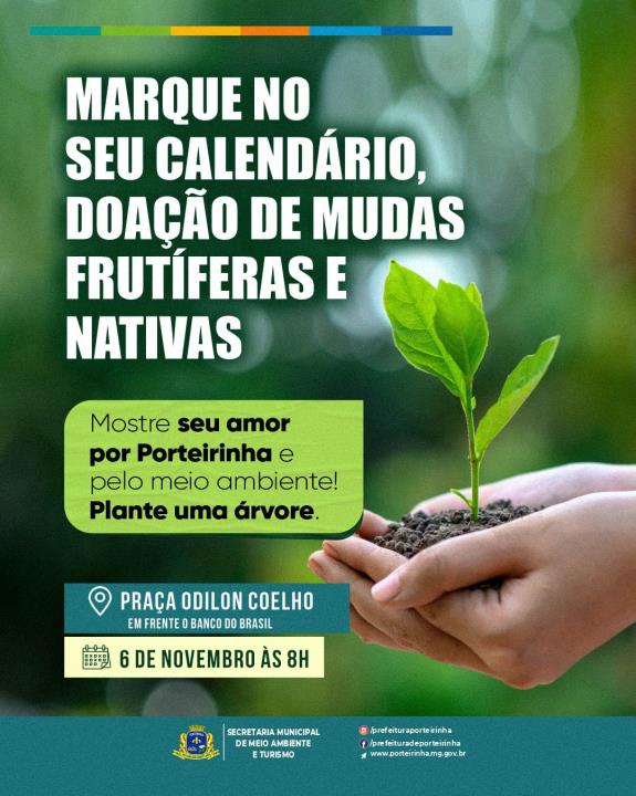 VIVEIRO MUNICIPAL DISPONIBILIZA MUDAS DE PLANTAS FRUTÍFERAS E NATIVAS PARA DOAÇÃO