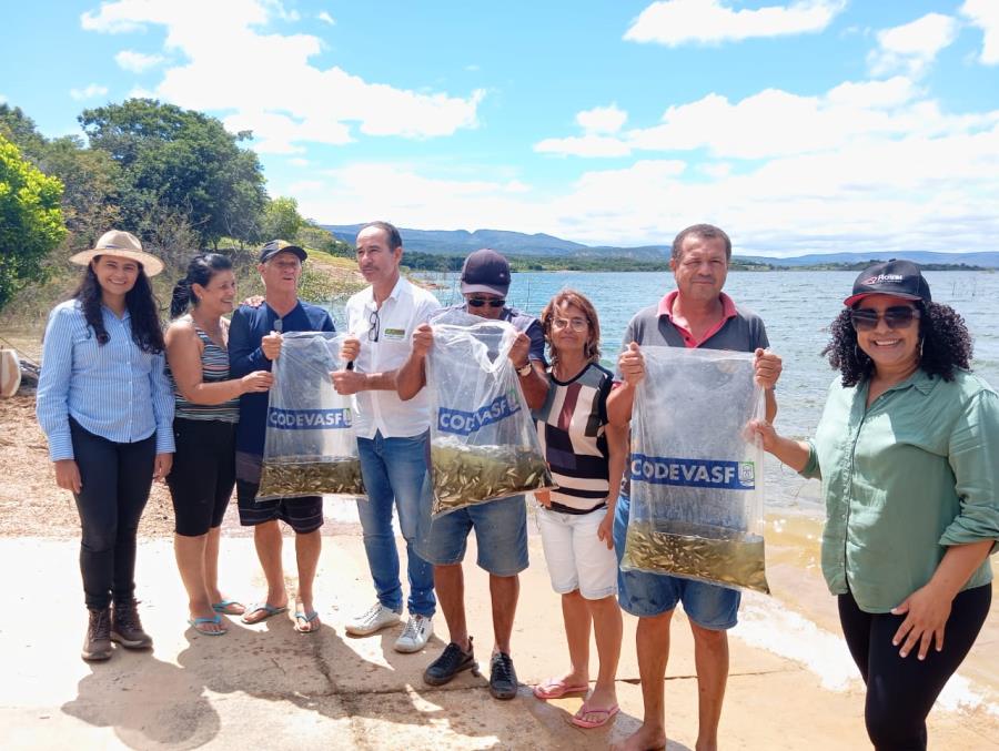 PEIXAMENTO NA BARRAGEM BICO DA PEDRA REFORÇA BIODIVERSIDADE E SUSTENTABILIDADE PESQUEIRA EM PORTEIRINHA/MG teste