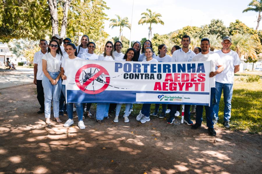 PORTEIRINHA UNIDA CONTRA A DENGUE teste