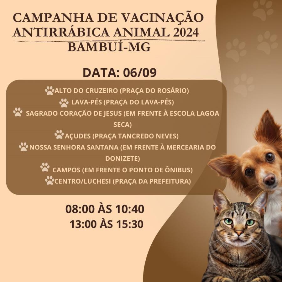 Vacinação antirrábica animal desta sexta-feira