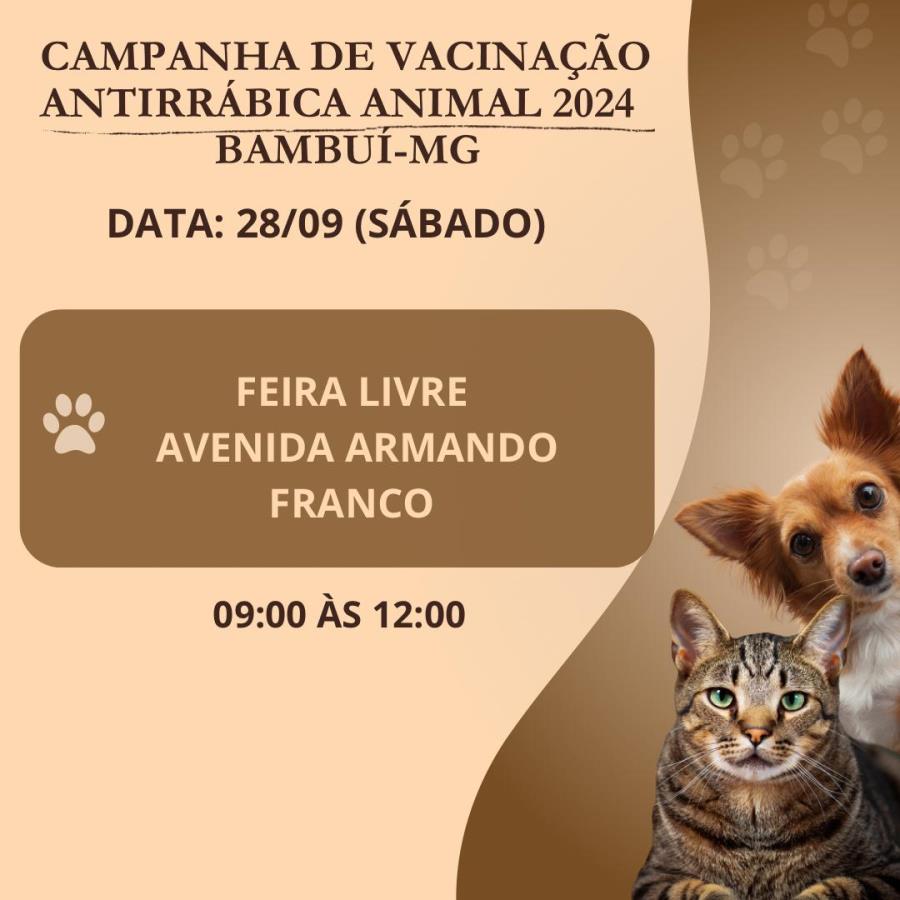 Último dia da campanha de vacinação antirrábica animal