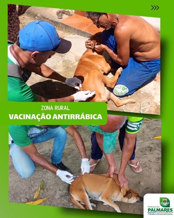 A Prefeitura dos Palmares segue cuidando da saúde dos animais e da população!