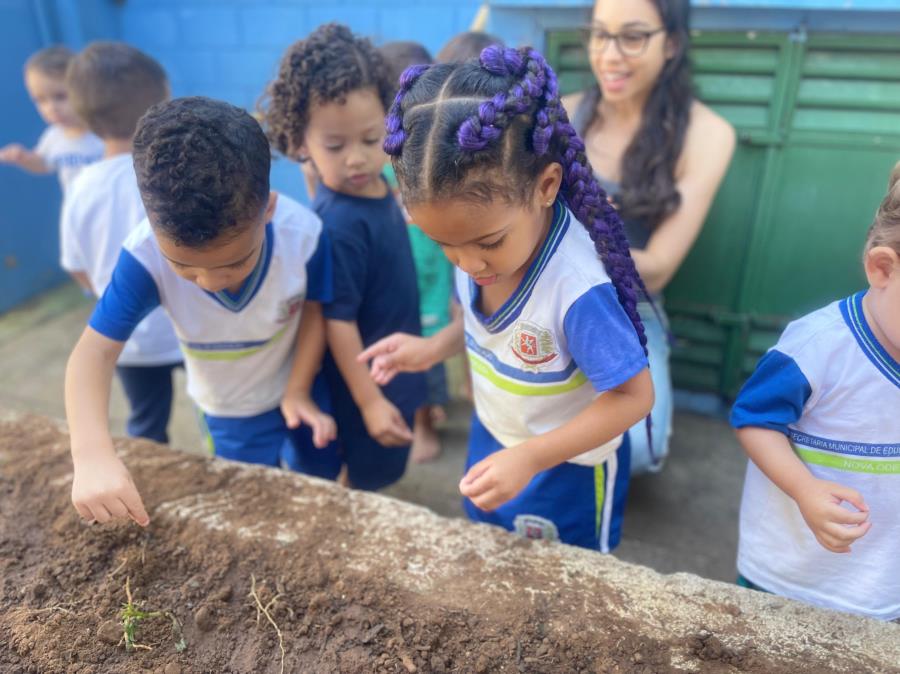 Merenda Escolar da Prefeitura de Nova Odessa e FAM levam ‘Horta Escola’ à Creche do Alvorada e alunos plantam espinafre