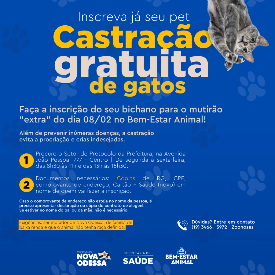 Ainda há vagas para ‘mutirão extra’ de castração de gatos deste sábado no Bem-Estar Animal da Prefeitura de Nova Odessa