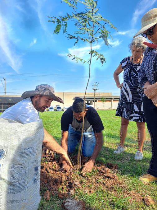 Moradores do Marajoara e Meio Ambiente da Prefeitura de Nova Odessa unem forças em plantio de 100 árvores