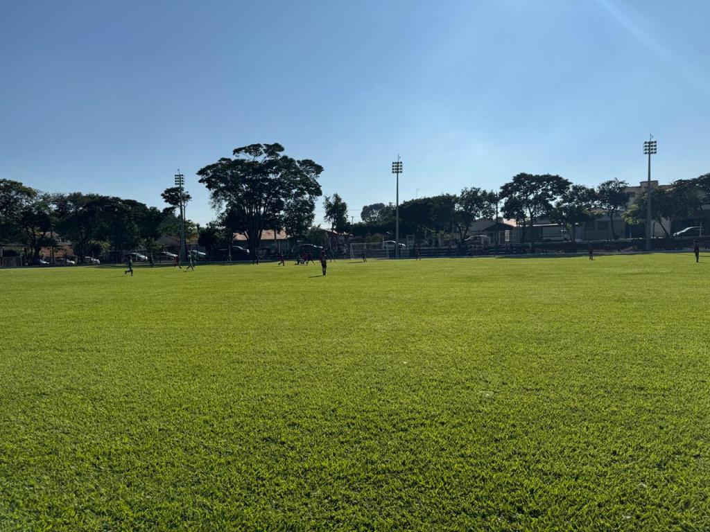 Oito equipes seguem na disputa pelo título; jogos acontecem no sábado e domingo