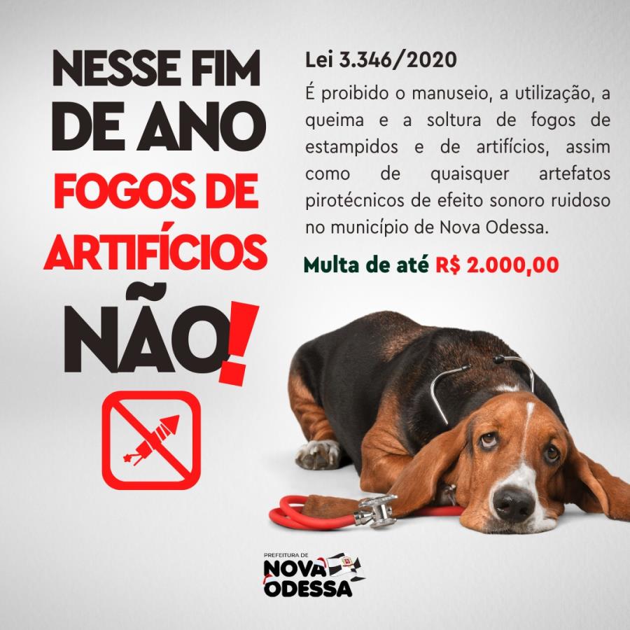 Prefeitura de Nova Odessa reforça proibição de fogos 'ruidosos' por respeito a pets, idosos e crianças especiais