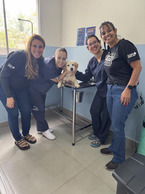 Departamento de Bem-Estar Animal da Prefeitura avalia saúde de cãozinho abandonado na chuva no último sábado