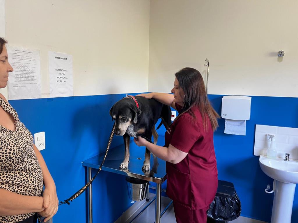 Bem-Estar Animal completa dois anos com mais de 17 mil atendimentos em Nova Odessa