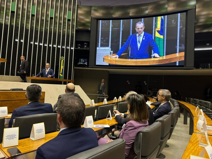 Comitiva de Nova Odessa participa de sessão solene na Câmara dos Deputados em homenagem ao Dia da Independência da Ucrânia