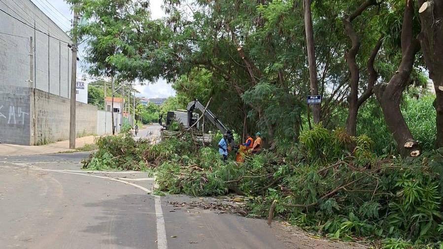 Prefeitura de Nova Odessa realiza poda preventiva na Rua Ilda Bagne da Silva para garantir segurança e mobilidade urbana