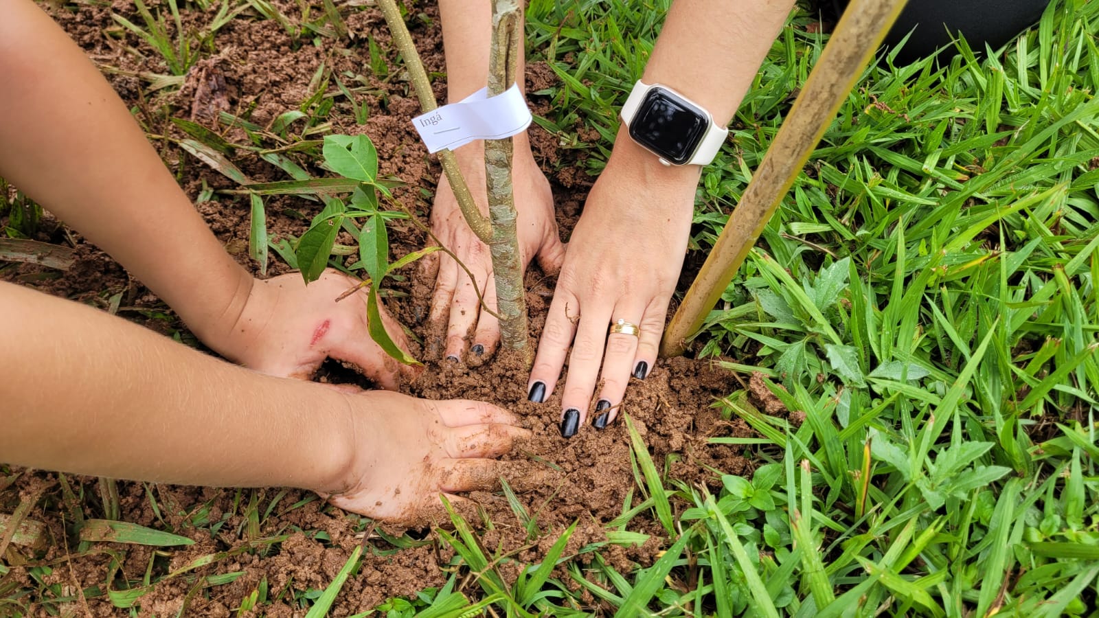 Fórum de Atibaia recebe plantio de árvores nativas em ação de educação ambiental