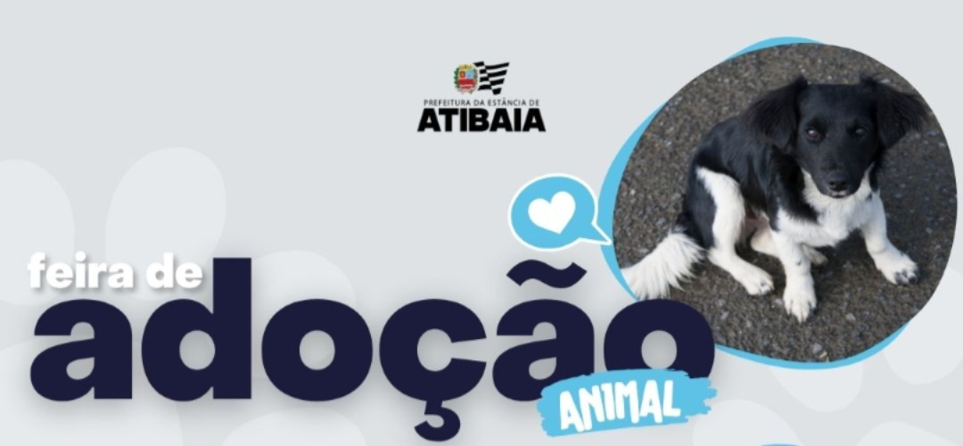 Defesa Animal recebe feira de adoção na próxima quarta-feira (10)