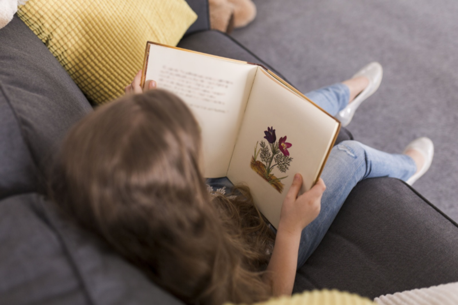 Estação Literária Atibaia 2025 chega com 15 mil livros para estudantes