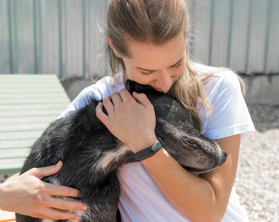 Sede da Defesa Animal realiza feira de adoção de cães e gatos no dia 12/03