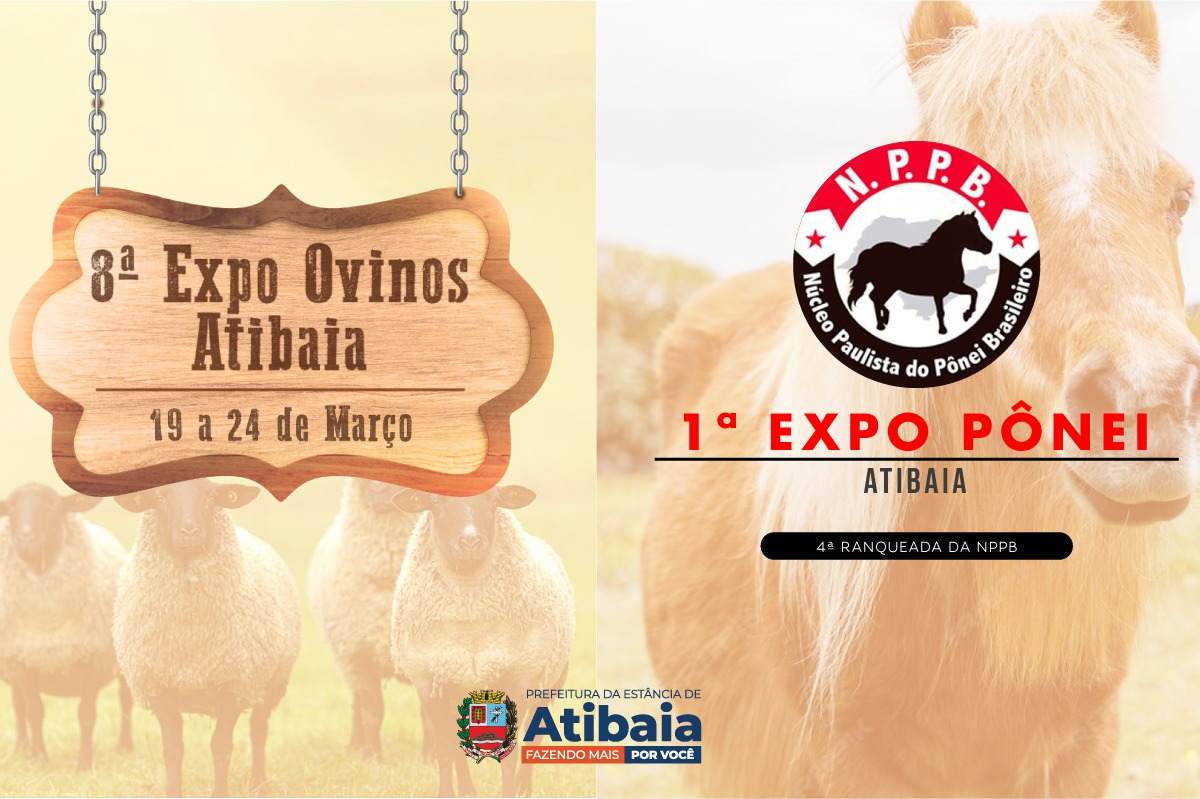 Exposição em dose dupla: vem aí a 8ª Expo de Ovinos e a 1ª Expo Pônei de Atibaia
