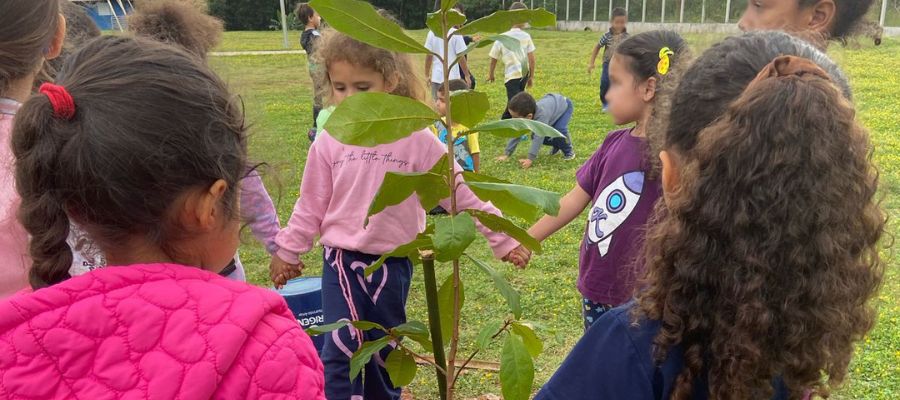 Projeto “Plantando o Futuro” realiza plantio de 20 mudas nativas no CIEM 2