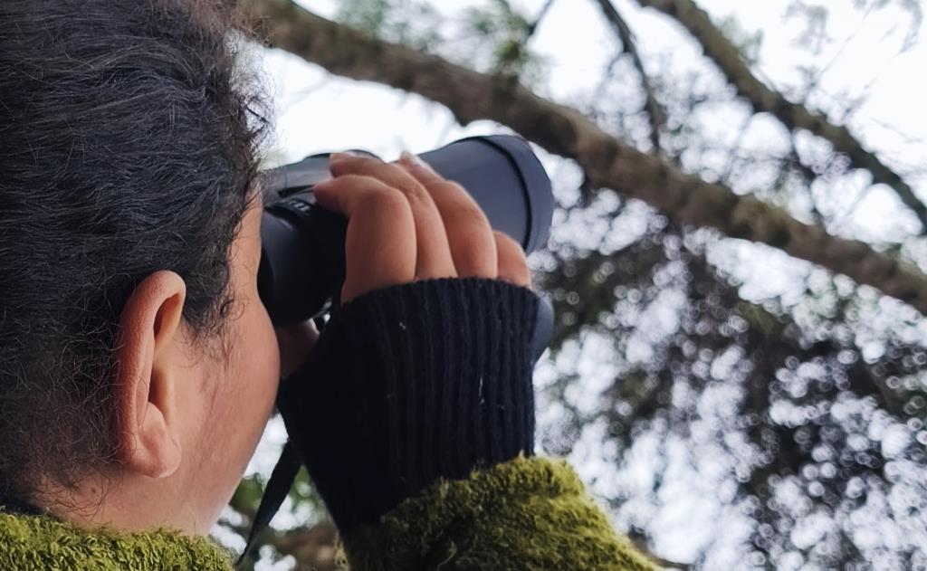 Alunos da rede municipal participam de atividade de observação de aves na Semana do Meio Ambiente