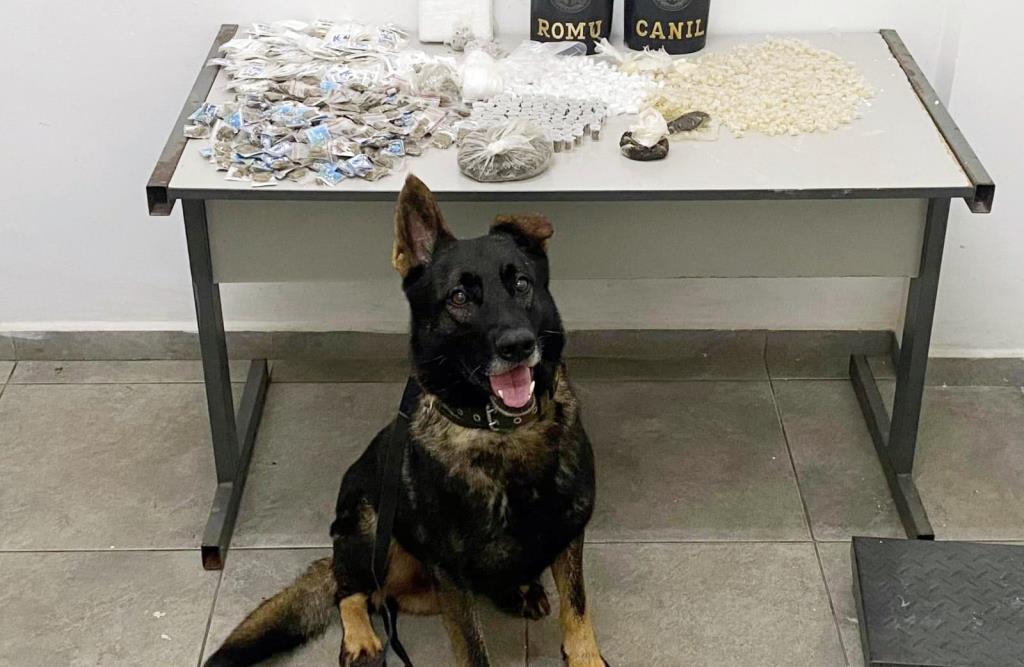 Equipes do Canil e ROMU, da GCM, apreendem grande quantidade de drogas em área de mata no Caetetuba