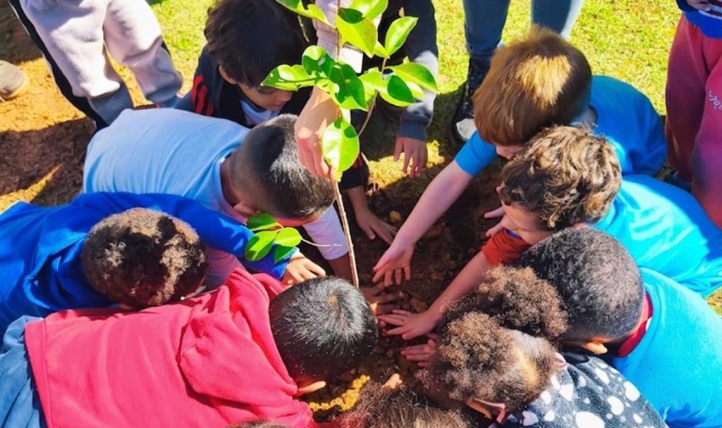 Crianças de até 5 anos plantam o futuro com ações de educação ambiental em Atibaia
