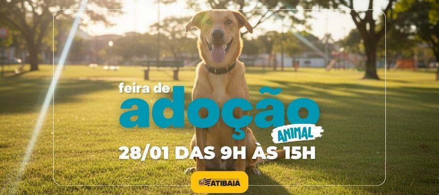 Defesa Animal recebe feira de adoção na quarta-feira (28)