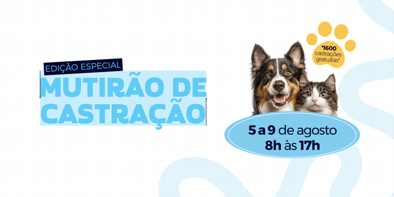 Edição especial do Mutirão de Castração oferecerá 1.600 vagas gratuitas em Atibaia
