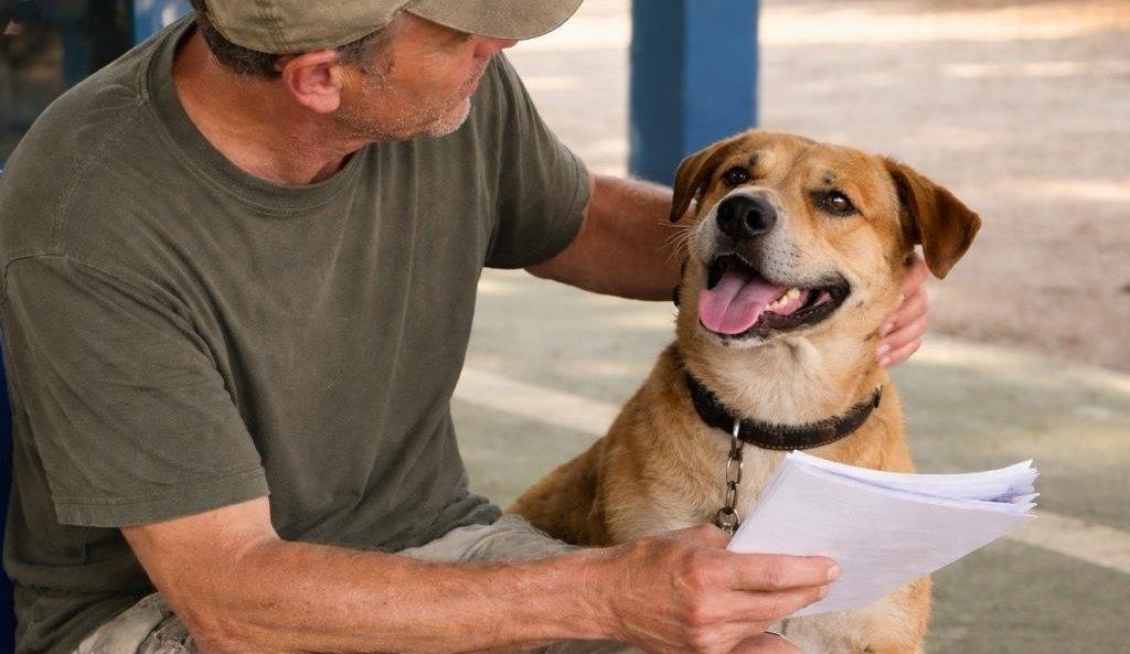 Prefeitura de Atibaia abre inscrições para mutirão de castração de cães e gatos no dia 25 de maio