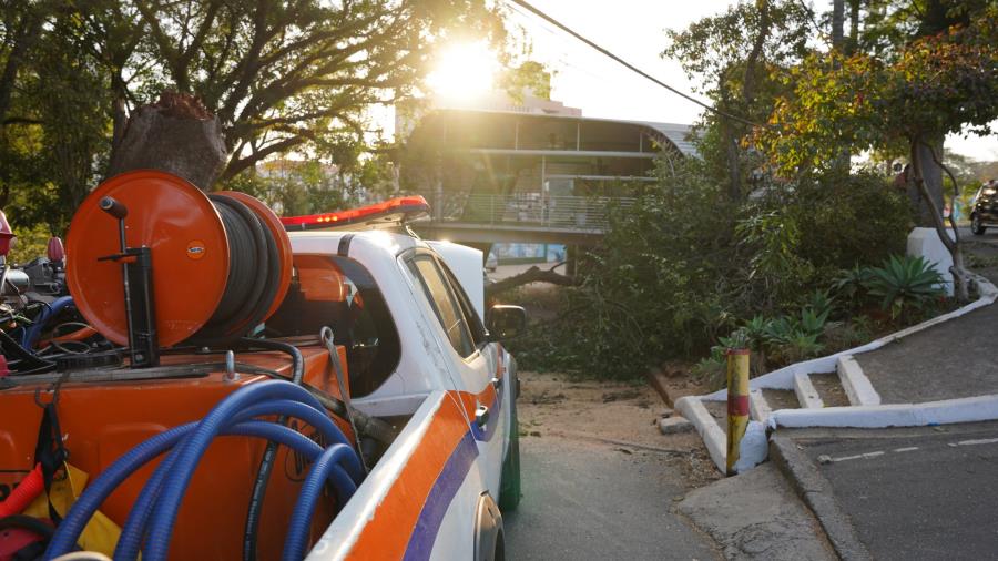 Defesa Civil atende ocorrência de queda de árvore próxima ao teleférico