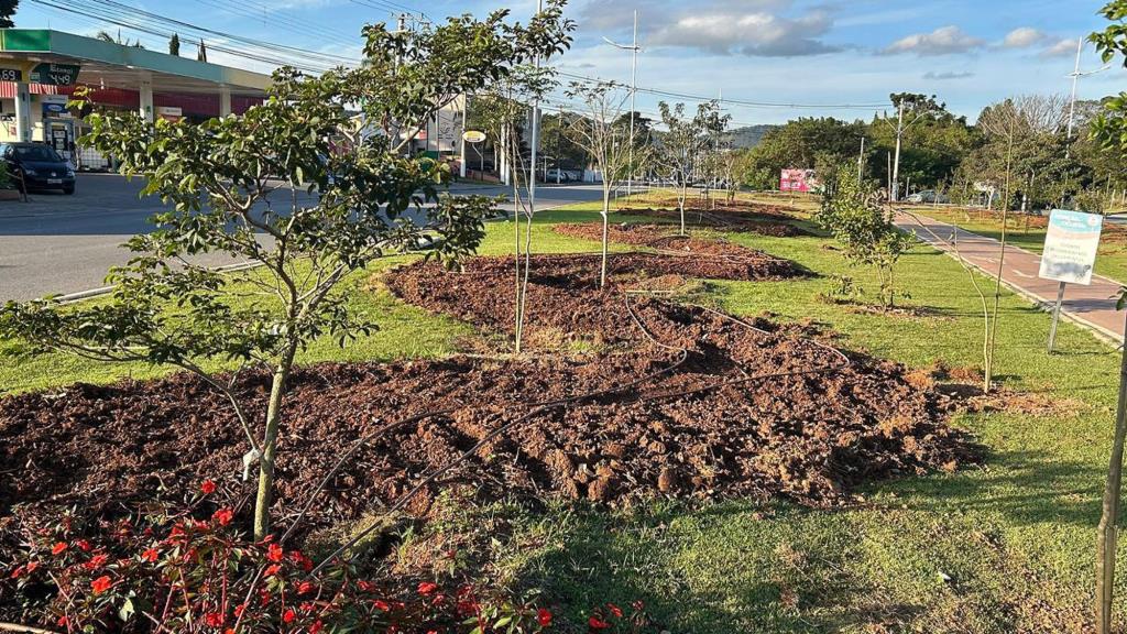 Prefeitura realiza plantio de 400 mudas e reforça ações de arborização urbana em Atibaia