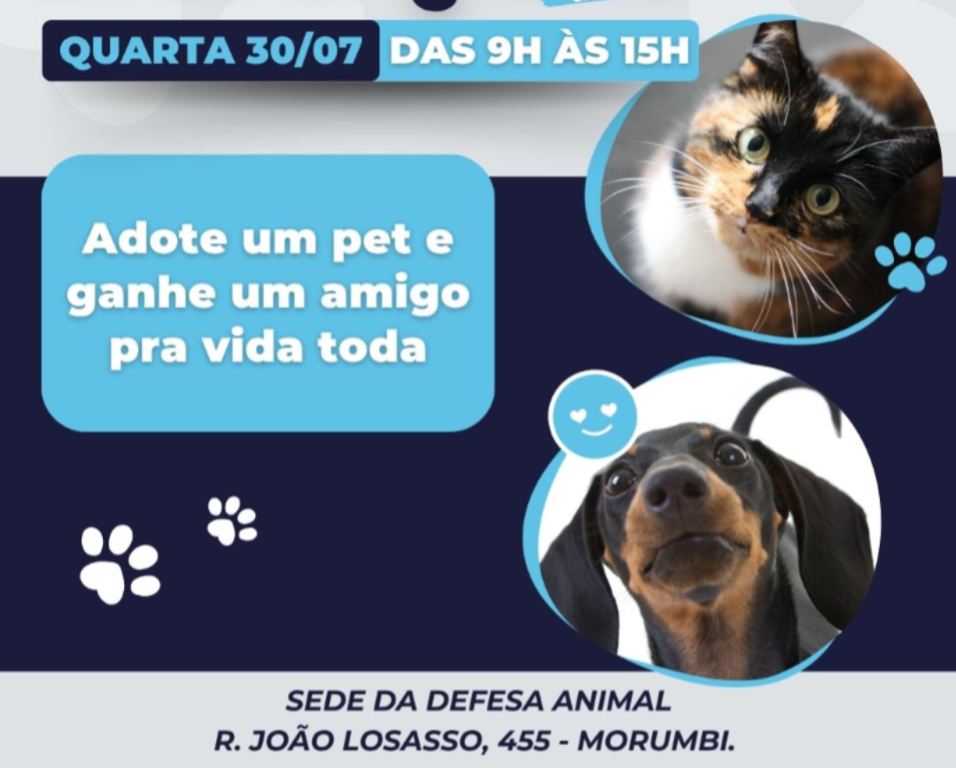 Defesa Animal recebe feira de adoção nesta quarta-feira (13)