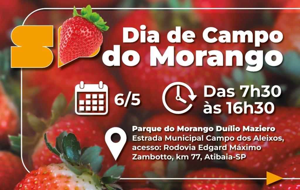 “Dia de Campo do Morango” orienta produtores sobre manejo e uso seguro de defensivos em Atibaia