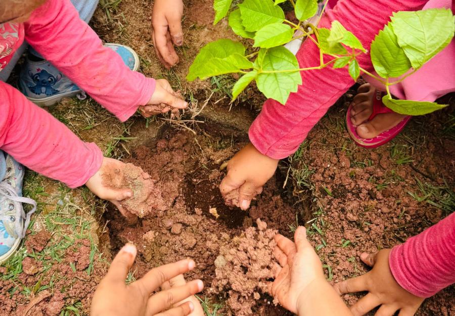 Alunos do CIEM III realizam plantio de mudas de espécies nativas na continuidade do projeto “Plantando o Futuro”