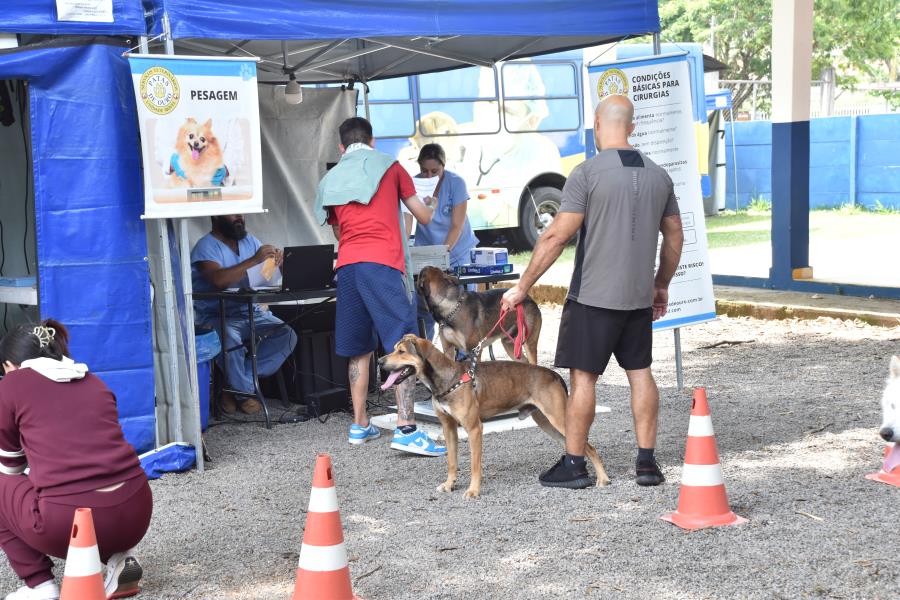 Inscrições para o Mutirão de Castração no bairro do Portão abrem na próxima segunda (17)