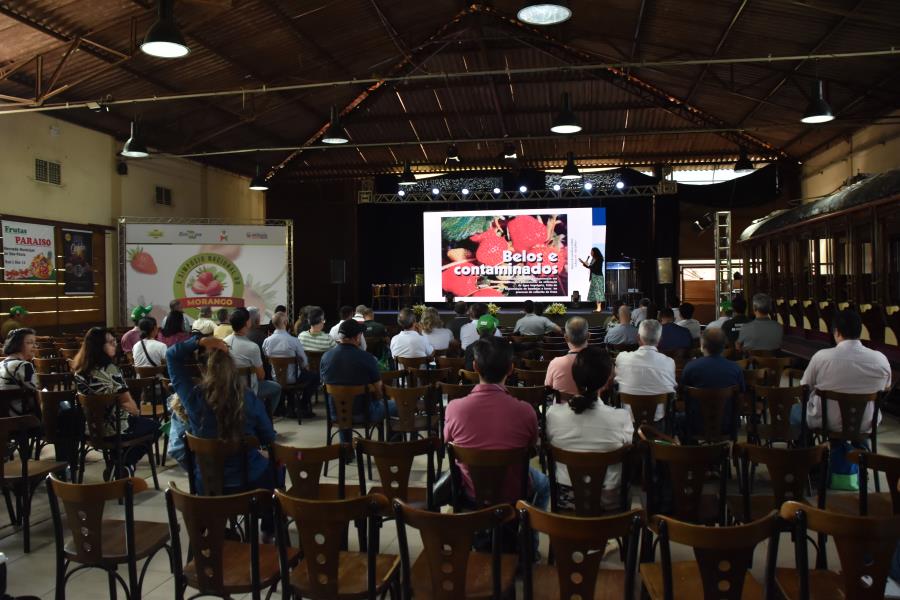 X Simpósio Nacional do Morango: evento reuniu mais de 300 participantes e lançou uma nova cultivar do fruto