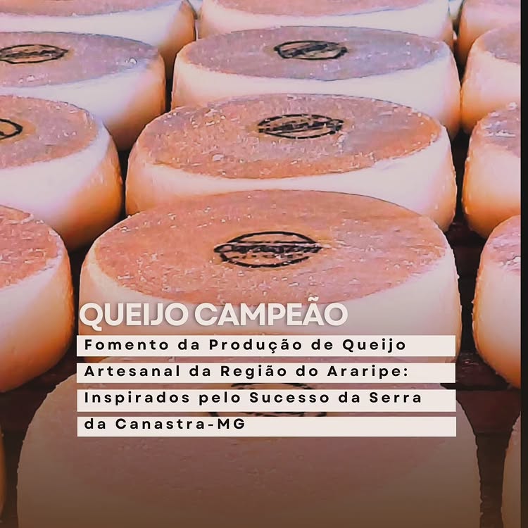 Queijo Campeão, fomento da produção de queijo artesanal da região do araripe