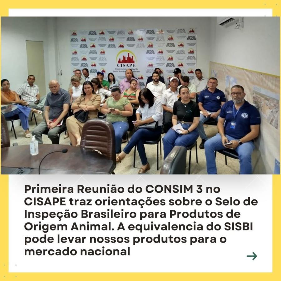 Primeira reunião do CONSIM 3 no CISAPE