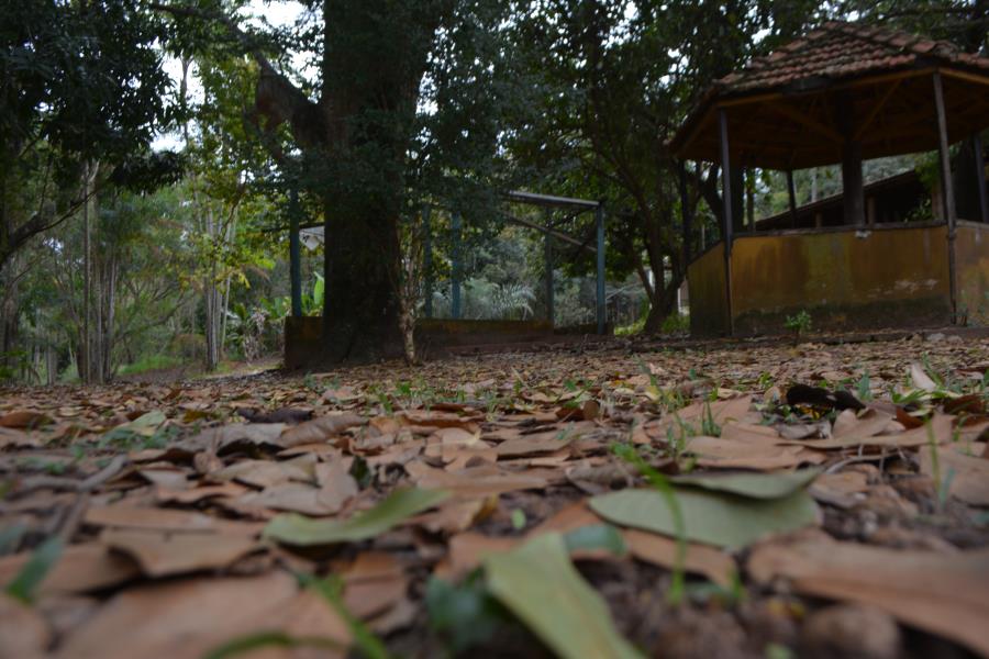 Começam as obras de transformação do Horto Florestal de Taquaritinga