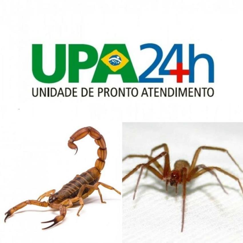 ATENÇÃO ÀS EMERGÊNCIAS COM ANIMAIS VENENOSOS