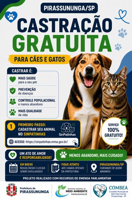 Castração gratuita para cães e gatos